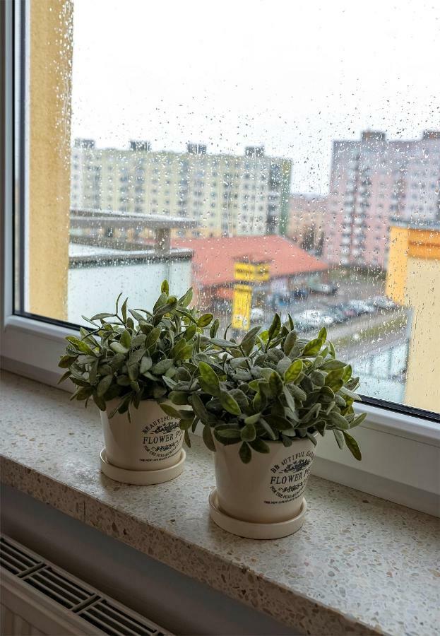 Top Floor Apartment Gorzów Wielkopolski Eksteriør billede